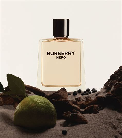 beer nam burberry|burberry eau de toilette.